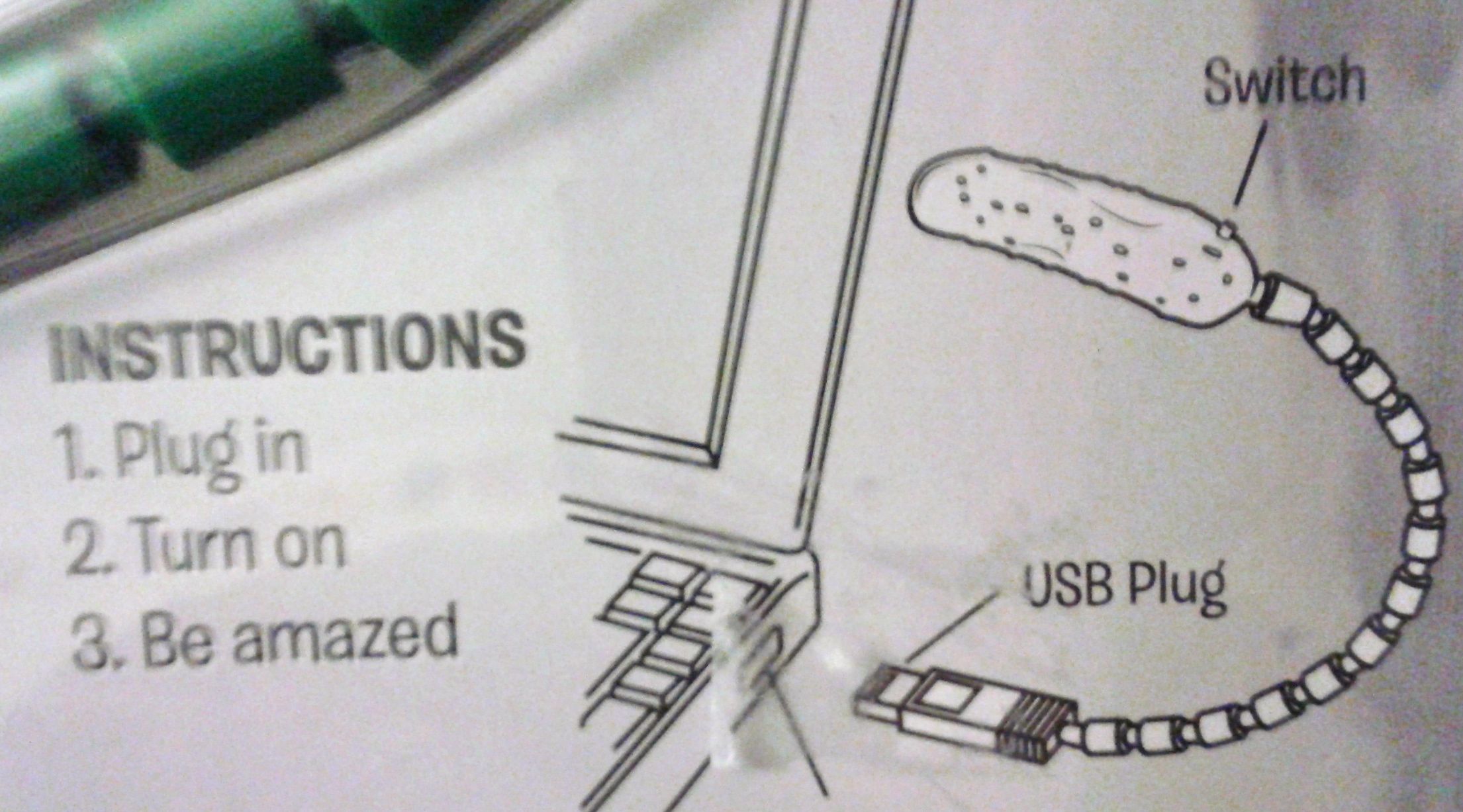 THE PICKLE LIGHT AT THE END OF THE TUNNEL – Define Normal