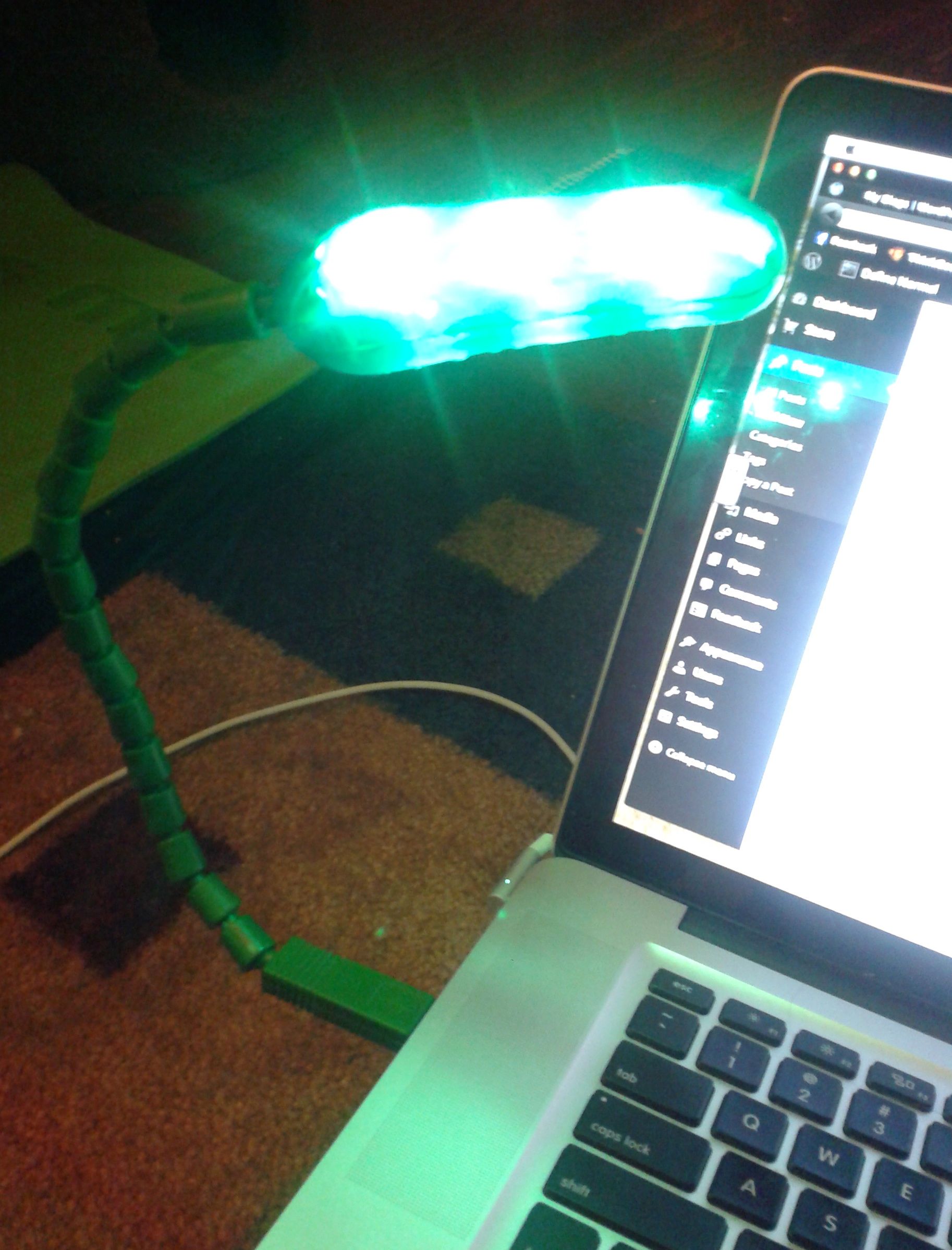 THE PICKLE LIGHT AT THE END OF THE TUNNEL – Define Normal